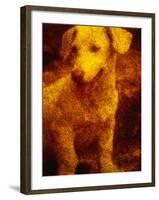 Dog-Andre Burian-Framed Photographic Print