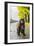 Dog-null-Framed Photographic Print