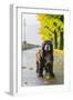 Dog-null-Framed Photographic Print