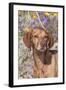 Dog-Lynn M^ Stone-Framed Photographic Print