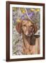 Dog-Lynn M^ Stone-Framed Photographic Print