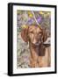 Dog-Lynn M^ Stone-Framed Photographic Print