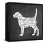 Dog-Erin Clark-Framed Stretched Canvas