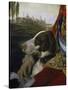 Dog-Johann Zoffany-Stretched Canvas