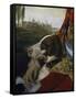 Dog-Johann Zoffany-Framed Stretched Canvas