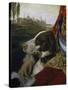 Dog-Johann Zoffany-Stretched Canvas