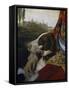 Dog-Johann Zoffany-Framed Stretched Canvas