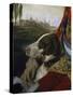 Dog-Johann Zoffany-Stretched Canvas