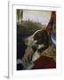 Dog-Johann Zoffany-Framed Giclee Print