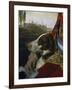 Dog-Johann Zoffany-Framed Giclee Print