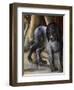 Dog-Benvenuto Di Giovanni-Framed Giclee Print