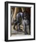 Dog-Benvenuto Di Giovanni-Framed Giclee Print