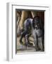 Dog-Benvenuto Di Giovanni-Framed Giclee Print