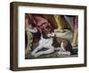 Dog-Luca Ferrari-Framed Giclee Print