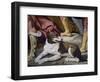 Dog-Luca Ferrari-Framed Giclee Print