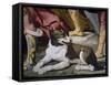 Dog-Luca Ferrari-Framed Stretched Canvas
