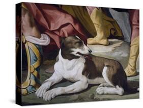 Dog-Luca Ferrari-Stretched Canvas