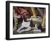 Dog-Luca Ferrari-Framed Giclee Print