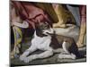 Dog-Luca Ferrari-Mounted Giclee Print