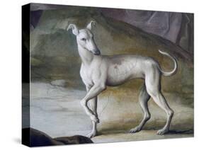 Dog-Jacopo Guarana-Stretched Canvas