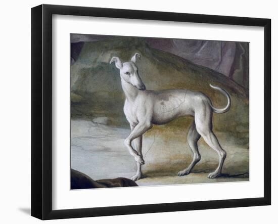 Dog-Jacopo Guarana-Framed Giclee Print