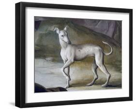 Dog-Jacopo Guarana-Framed Giclee Print