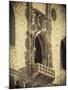 Doge's Palace, Venice, Italy-Jon Arnold-Mounted Photographic Print