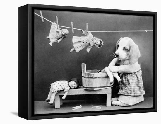 Doggy Laundress-null-Framed Stretched Canvas