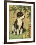 Doggy-Vintage Apple Collection-Framed Giclee Print