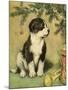 Doggy-Vintage Apple Collection-Mounted Giclee Print