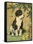 Doggy-Vintage Apple Collection-Framed Stretched Canvas