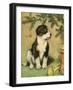 Doggy-Vintage Apple Collection-Framed Giclee Print