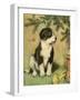 Doggy-Vintage Apple Collection-Framed Giclee Print