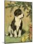 Doggy-Vintage Apple Collection-Mounted Giclee Print