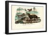 Dogs, 1863-79-Raimundo Petraroja-Framed Giclee Print