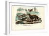 Dogs, 1863-79-Raimundo Petraroja-Framed Giclee Print