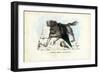 Dogs, 1863-79-Raimundo Petraroja-Framed Giclee Print