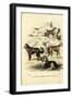 Dogs, 1863-79-Raimundo Petraroja-Framed Giclee Print