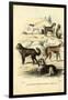 Dogs, 1863-79-Raimundo Petraroja-Framed Giclee Print