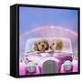 Dogs 7 Week Old Cockerpoo Puppies Driving Car-null-Framed Stretched Canvas