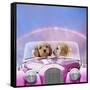 Dogs 7 Week Old Cockerpoo Puppies Driving Car-null-Framed Stretched Canvas