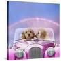 Dogs 7 Week Old Cockerpoo Puppies Driving Car-null-Stretched Canvas