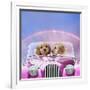 Dogs 7 Week Old Cockerpoo Puppies Driving Car-null-Framed Photographic Print