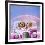 Dogs 7 Week Old Cockerpoo Puppies Driving Car-null-Framed Photographic Print