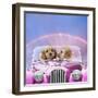 Dogs 7 Week Old Cockerpoo Puppies Driving Car-null-Framed Photographic Print