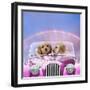 Dogs 7 Week Old Cockerpoo Puppies Driving Car-null-Framed Photographic Print