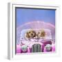 Dogs 7 Week Old Cockerpoo Puppies Driving Car-null-Framed Photographic Print