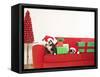 Dogs and Christmas gifts on sofa-null-Framed Stretched Canvas