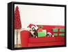 Dogs and Christmas gifts on sofa-null-Framed Stretched Canvas