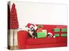 Dogs and Christmas gifts on sofa-null-Stretched Canvas